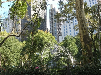 kliknij, aby powi�kszy�