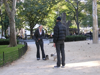 kliknij, aby powi�kszy�