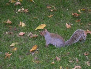 kliknij, aby powi�kszy�