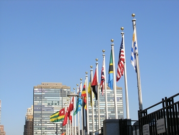 kliknij, aby powi�kszy�