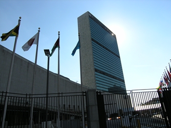 kliknij, aby powi�kszy�