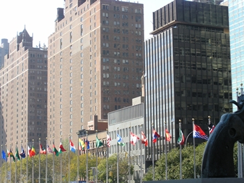 kliknij, aby powi�kszy�