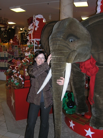 kliknij, aby powiększyć