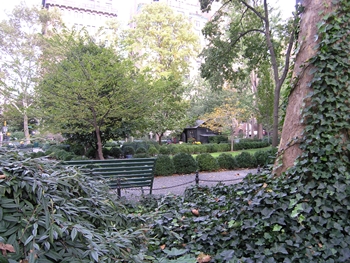 kliknij, aby powi�kszy�