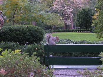 kliknij, aby powi�kszy�