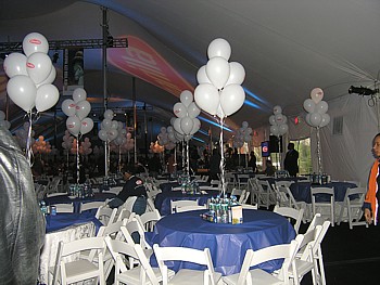 kliknij, aby powi�kszy�