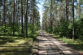 kliknij, aby powikszy