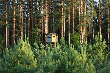 kliknij, aby powikszy