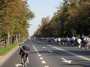 -kliknij, by powiekszy�-