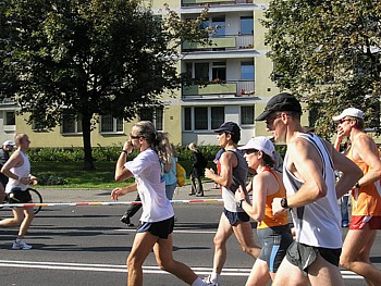 -kliknij, by powiekszy�-