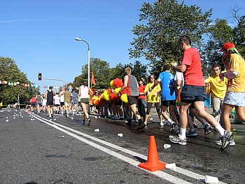 -kliknij, by powiekszy�-