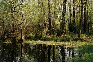 kliknij, aby powi�kszy�