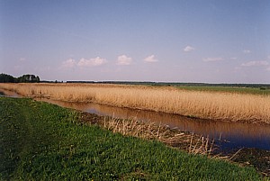 kliknij, aby powi�kszy�