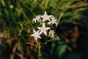 kliknij, aby powi�kszy�