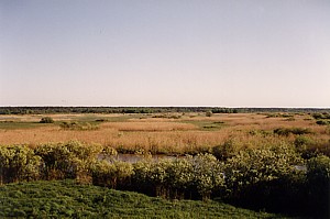 kliknij, aby powi�kszy�