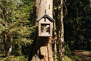 kliknij, aby powi�kszy�