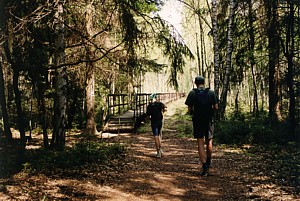 kliknij, aby powi�kszy�