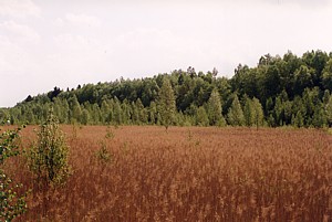 kliknij, aby powi�kszy�