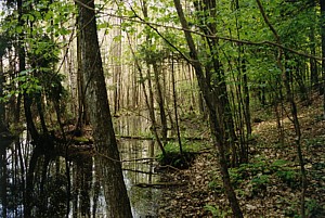 kliknij, aby powi�kszy�