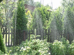 -kliknij, by powiekszy�-