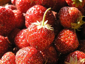 -kliknij, by powiekszy�-