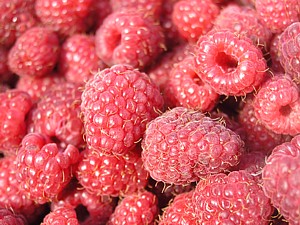 -kliknij, by powiekszy�-