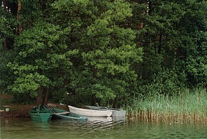 kliknij, aby powi�kszy�