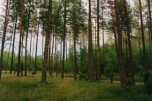 kliknij, aby powi�kszy�