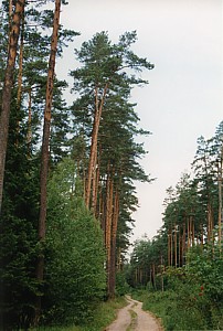 kliknij, aby powi�kszy�