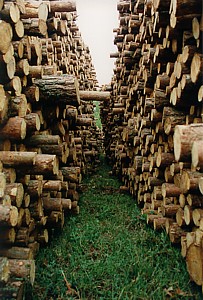 kliknij, aby powi�kszy�