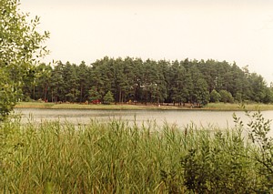 kliknij, aby powi�kszy�