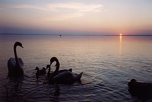 kliknij, aby powi�kszy�