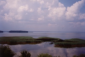 kliknij, aby powi�kszy�