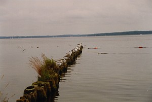 kliknij, aby powi�kszy�