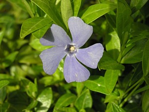 -kliknij, by powiekszy�-