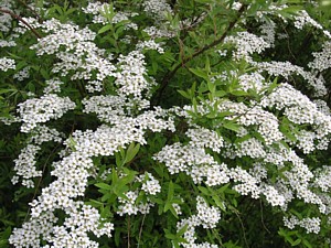 -kliknij, by powiekszy�-