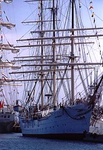 kliknij, aby powi�kszy�