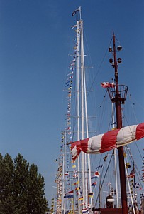 kliknij, aby powi�kszy�