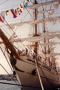 kliknij, aby powi�kszy�