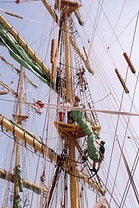 kliknij, aby powi�kszy�