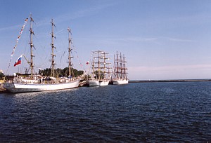 kliknij, aby powi�kszy�