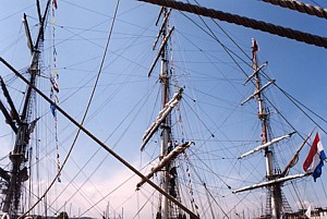 kliknij, aby powi�kszy�