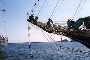 kliknij, aby powi�kszy�