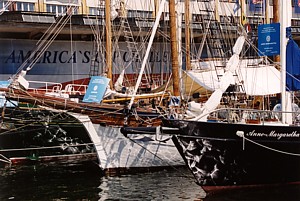 kliknij, aby powi�kszy�