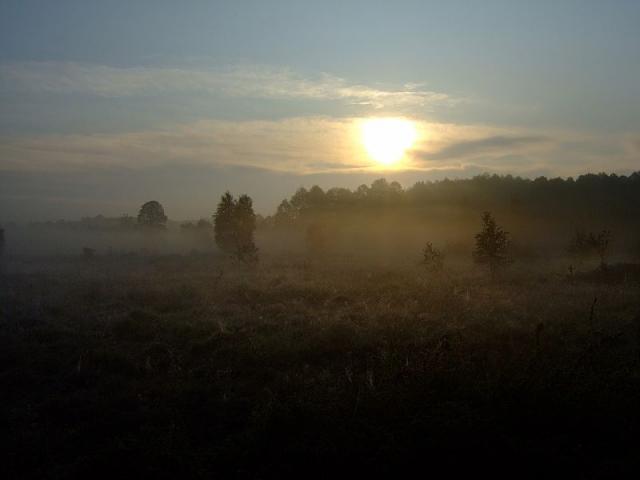 2008_1005Kampinos0050