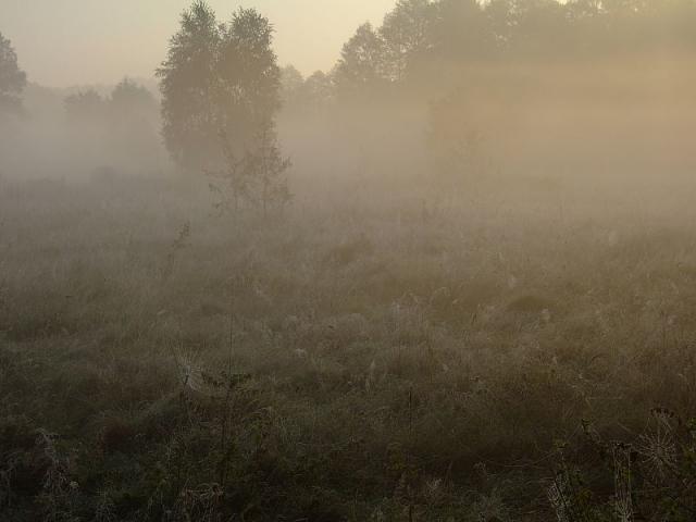 2008_1005Kampinos0052