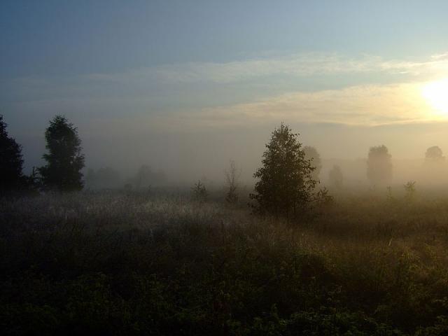 2008_1005Kampinos0058