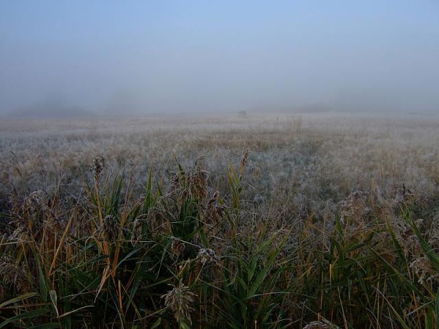 2008_1005Kampinos0085