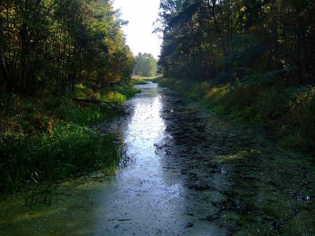 2008_1005Kampinos0109