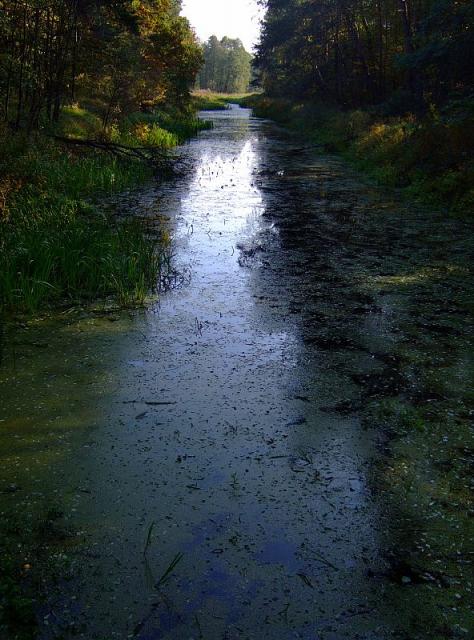 2008_1005Kampinos0113